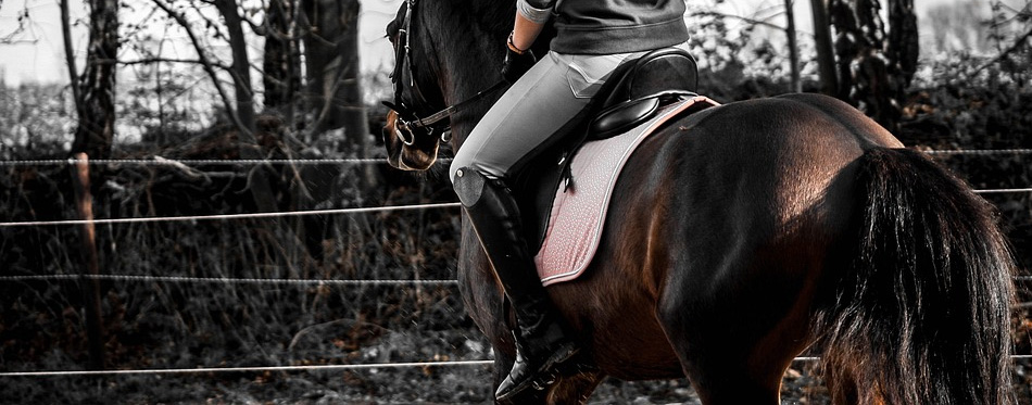 black leather horseback riding boot