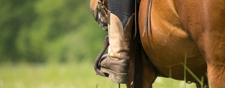 brown leather riding boot